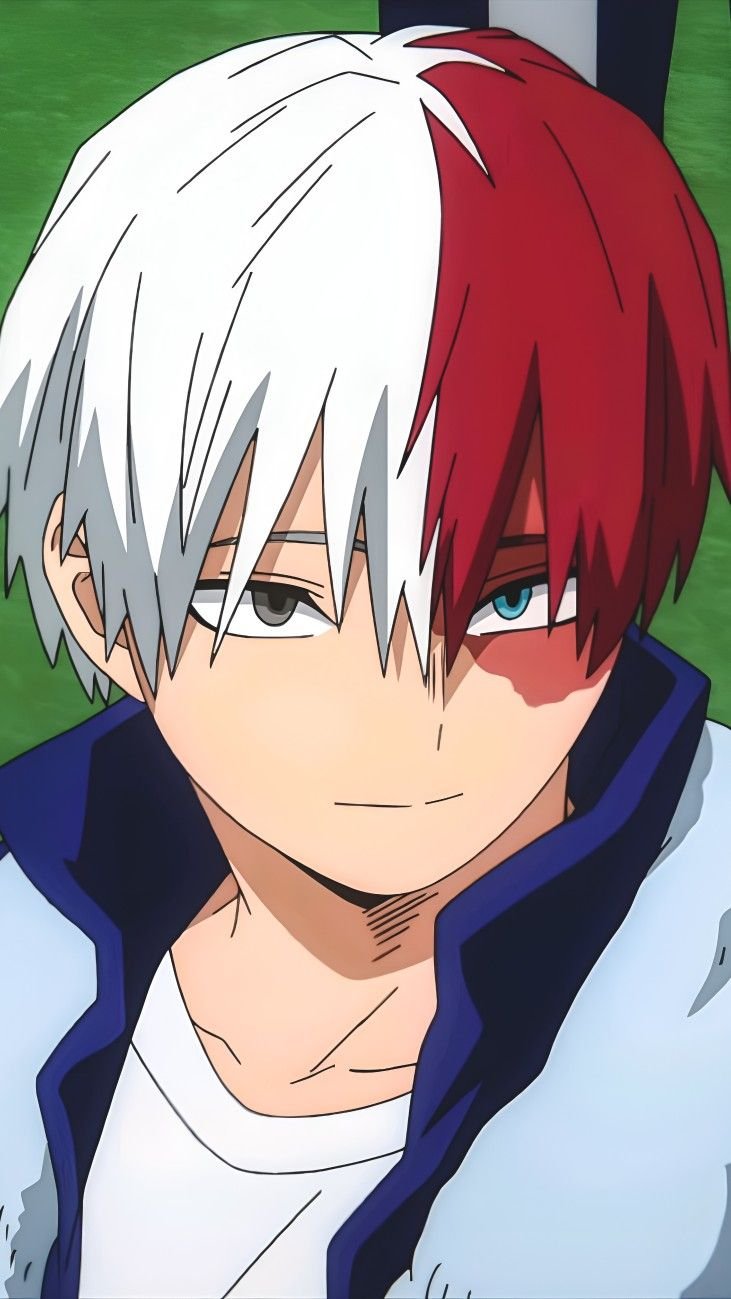 Shoto Todoroki Zodiac Sign Is Capricorn, a Perfect Personality Match